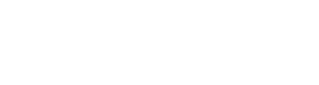 STN Services